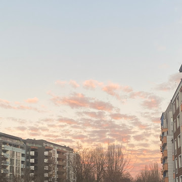 Профилна снимка на yordankostadinov