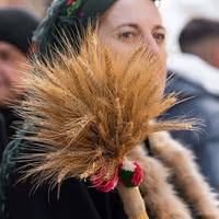 Профилна снимка на anilaskova-katoncheva