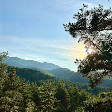 Профилна снимка на todorkaahrqnova