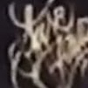 Профилна снимка на jivodarchakarov