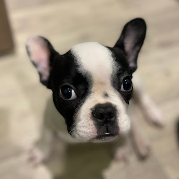 Профилна снимка на tinatinaki