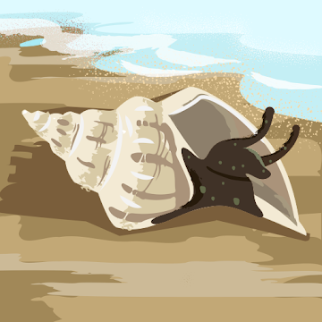 Профилна снимка на nikolstavreva