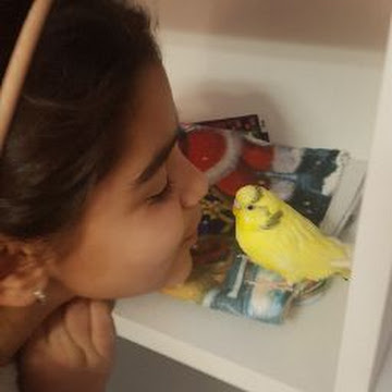 Профилна снимка на viktoriadimova