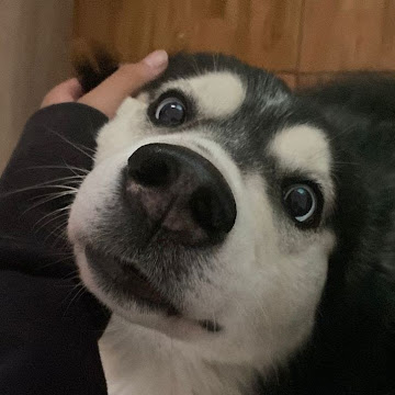 Профилна снимка на Denitsa Petkova