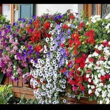 Профилна снимка на desislavabodurova