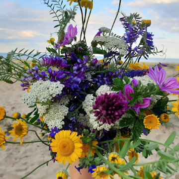 Профилна снимка на Кремена Георгиева