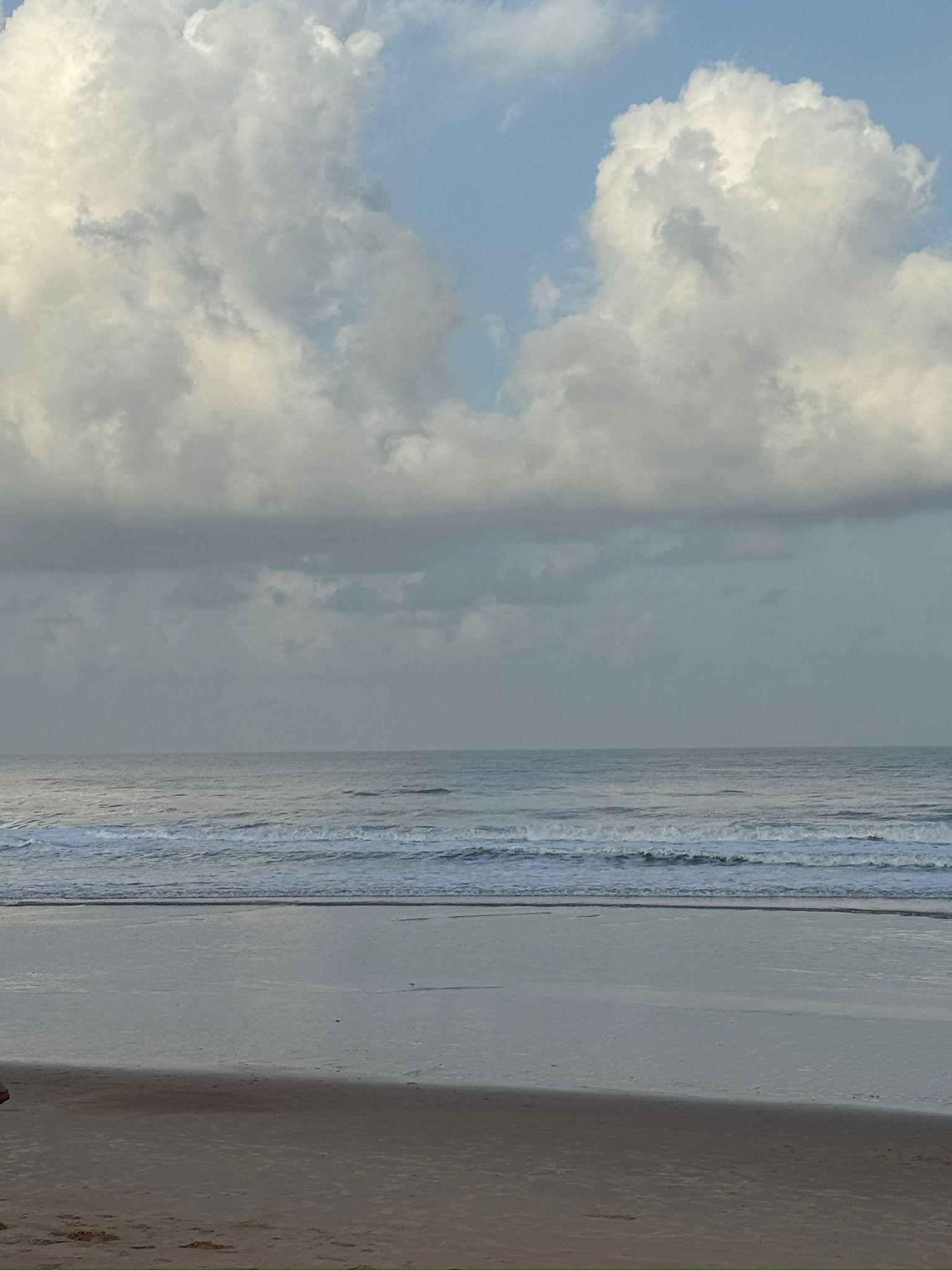 6a4652b612827 bp cover image