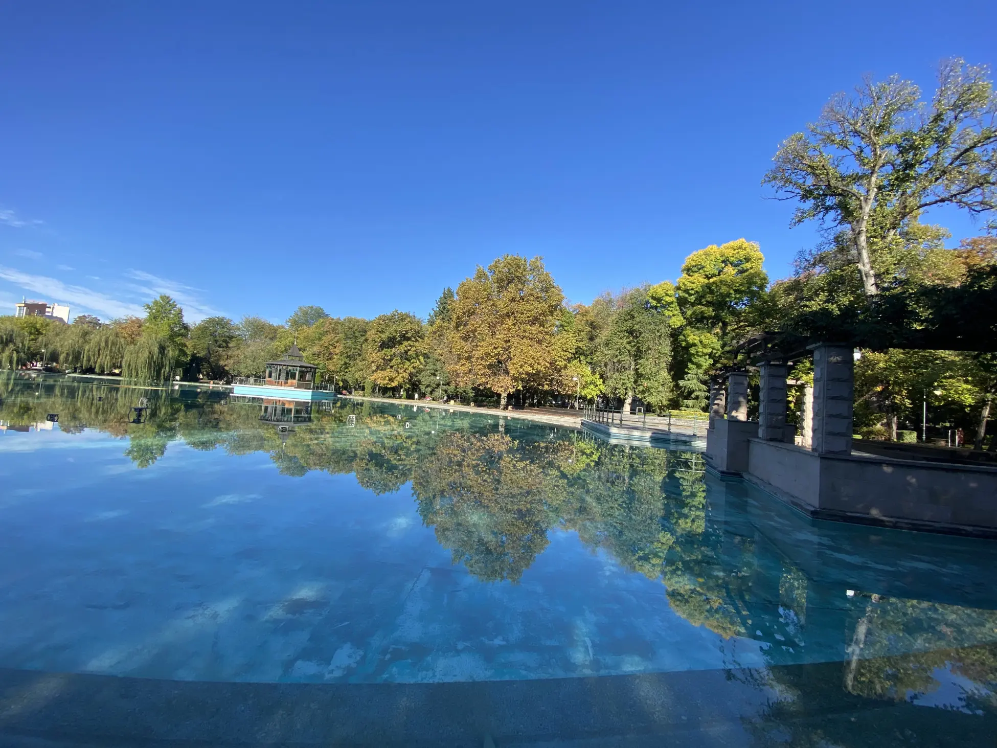 654e3334ab955 bp cover image.jpeg