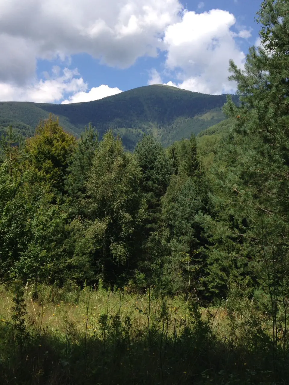 64fcb564467b3 bp cover image.jpg