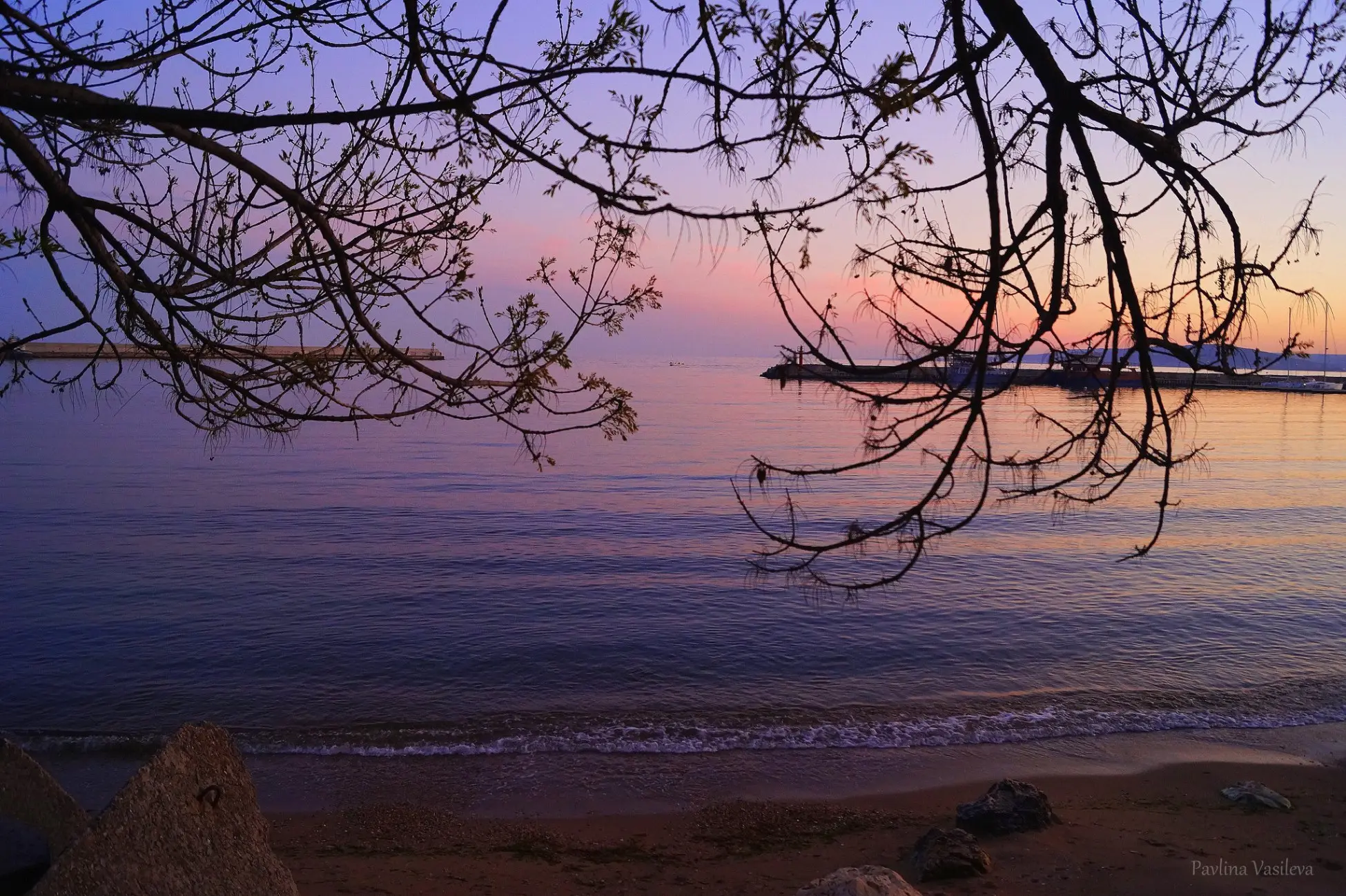 649866cb3e2f5 bp cover image.jpg