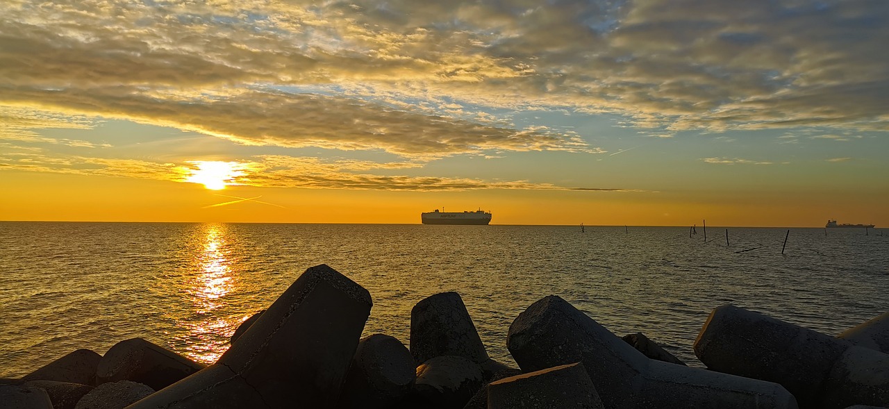 64c0bcf538d28 bp cover image