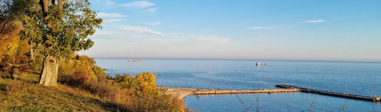 64a91ead86095 bp cover image.jpg