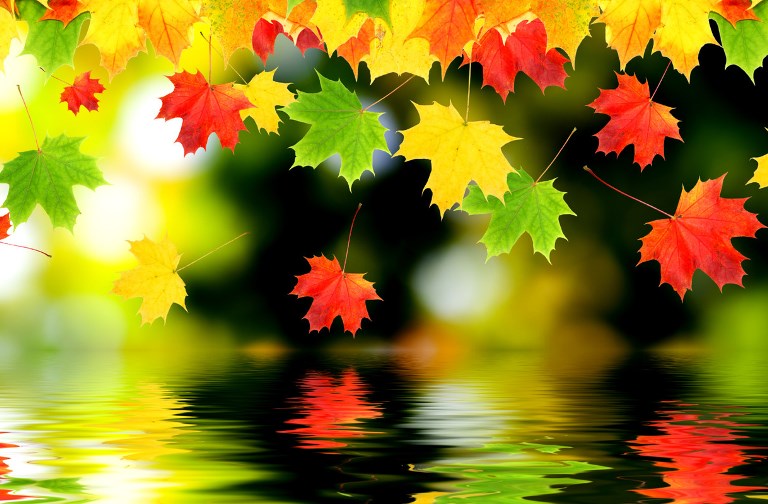 65312e890487e bp cover image