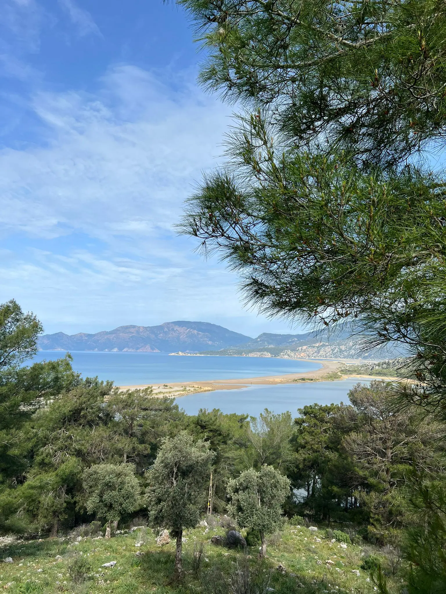 6540f197f2121 bp cover image.jpg