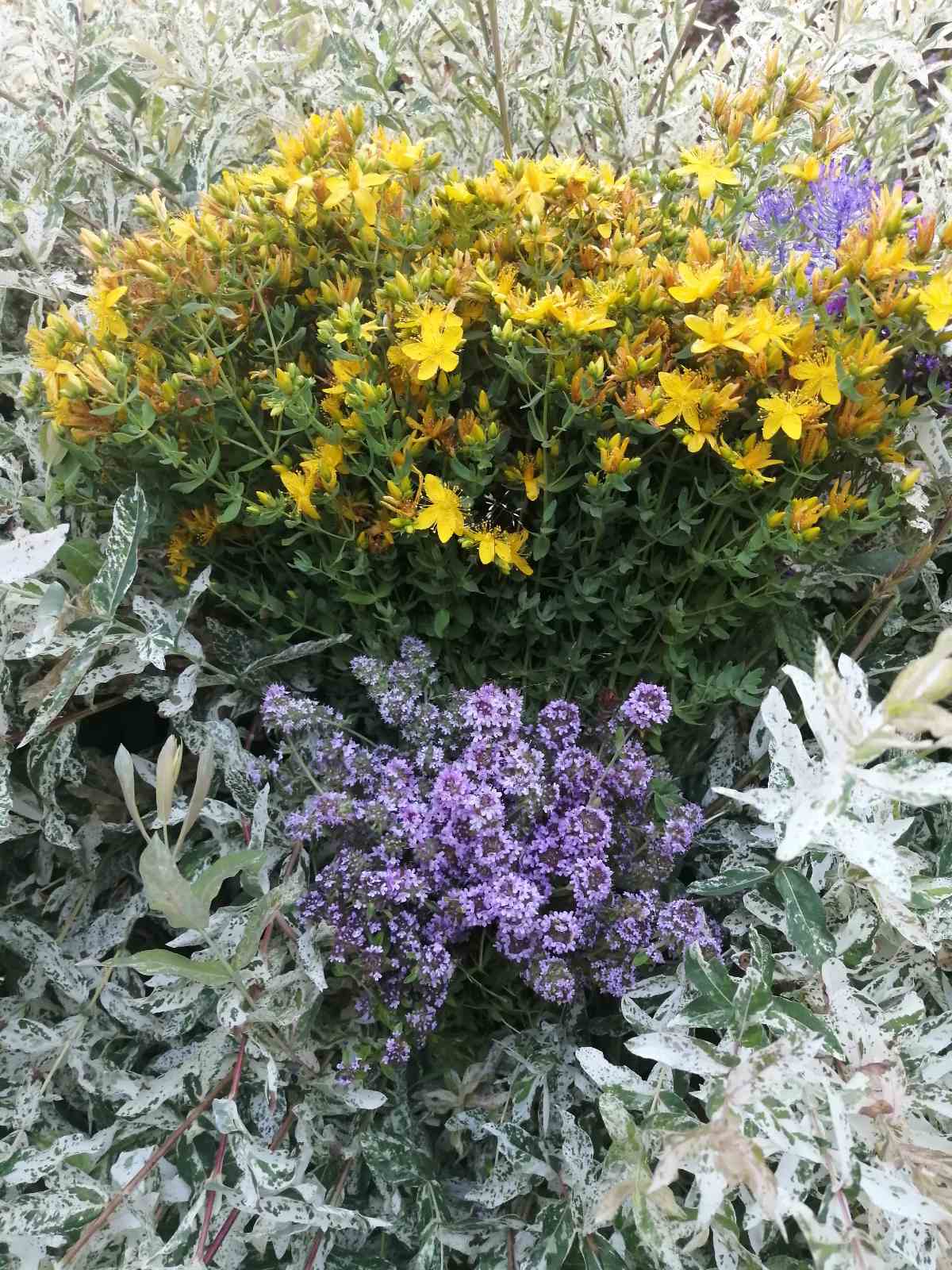 68bf0a7e5ec93 bp cover image