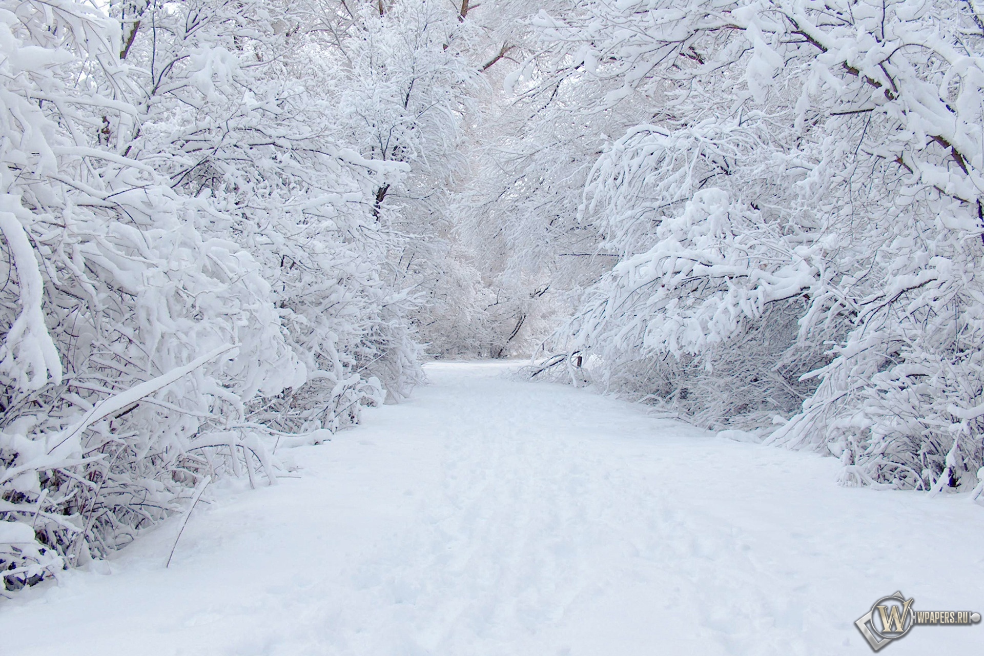 658d455c95416 bp cover image