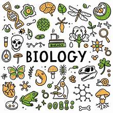 68daaac6ad629 bp cover image