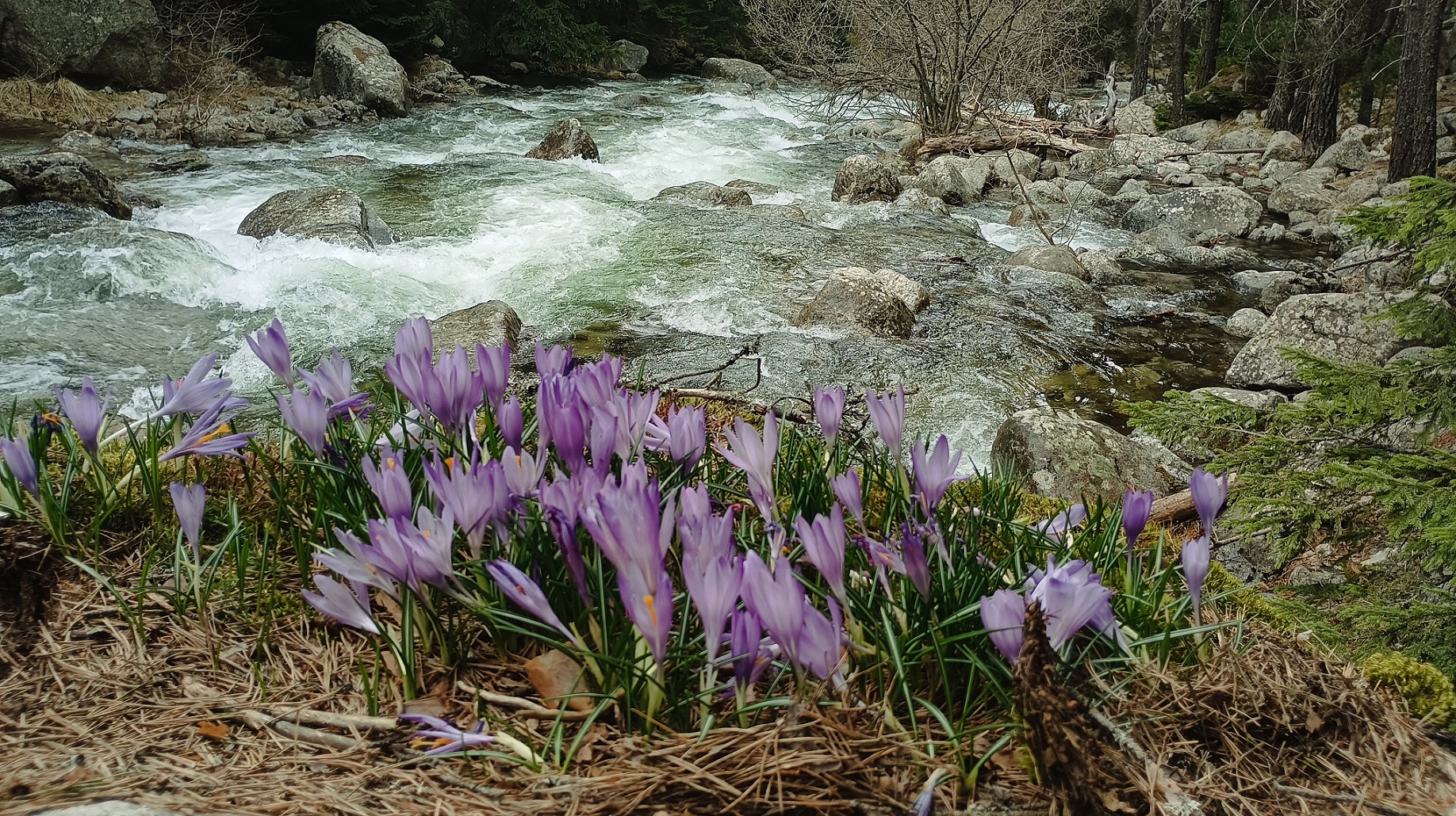 661ad026a5e2b bp cover image