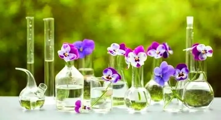 65e85df6b852e bp cover image.jpeg