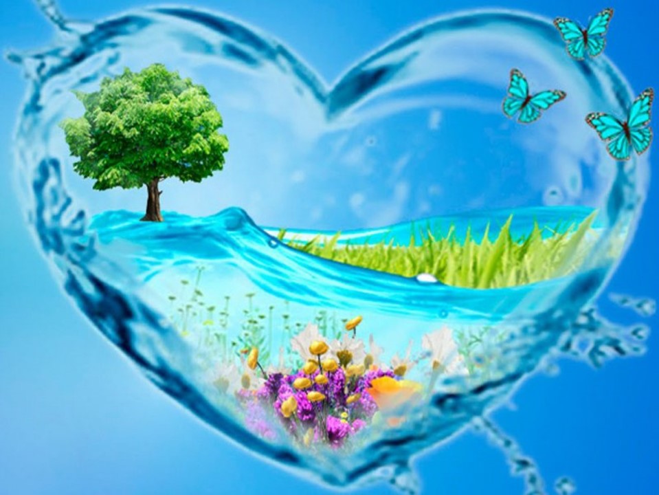 660030cbc9f0e bp cover image