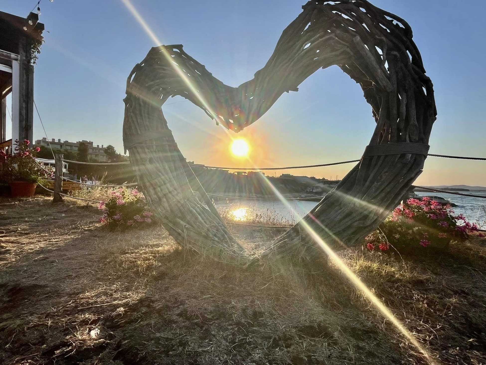 6899f0ae73209 bp cover image