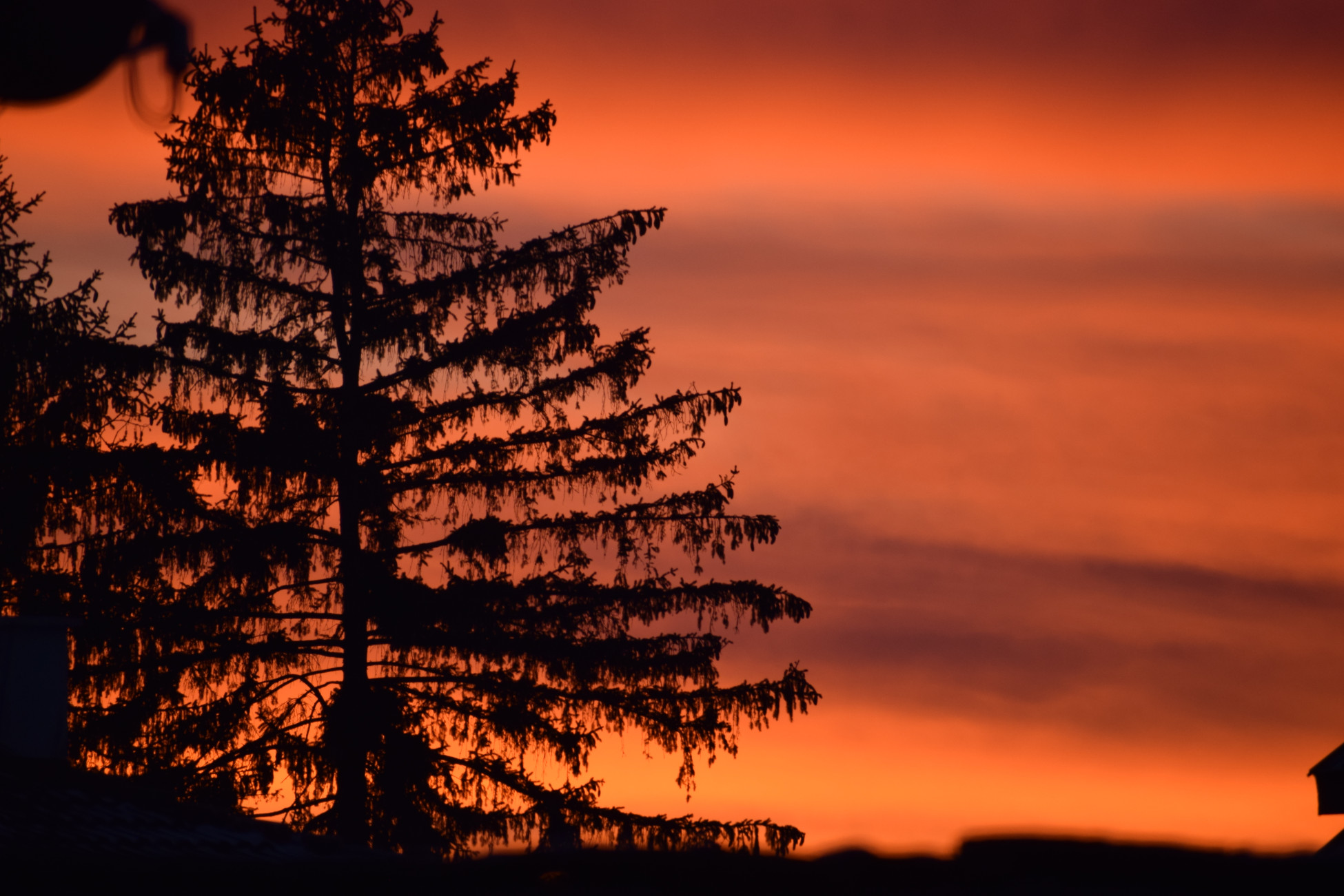 66274601b1d40 bp cover image