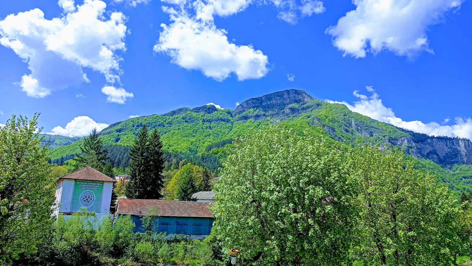 6490522a24209 bp cover image.jpg