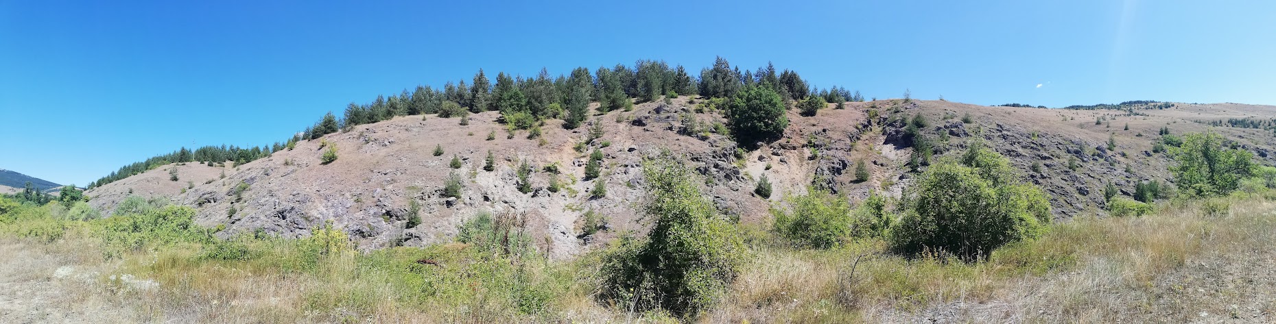 67b8ca7a6c9db bp cover image