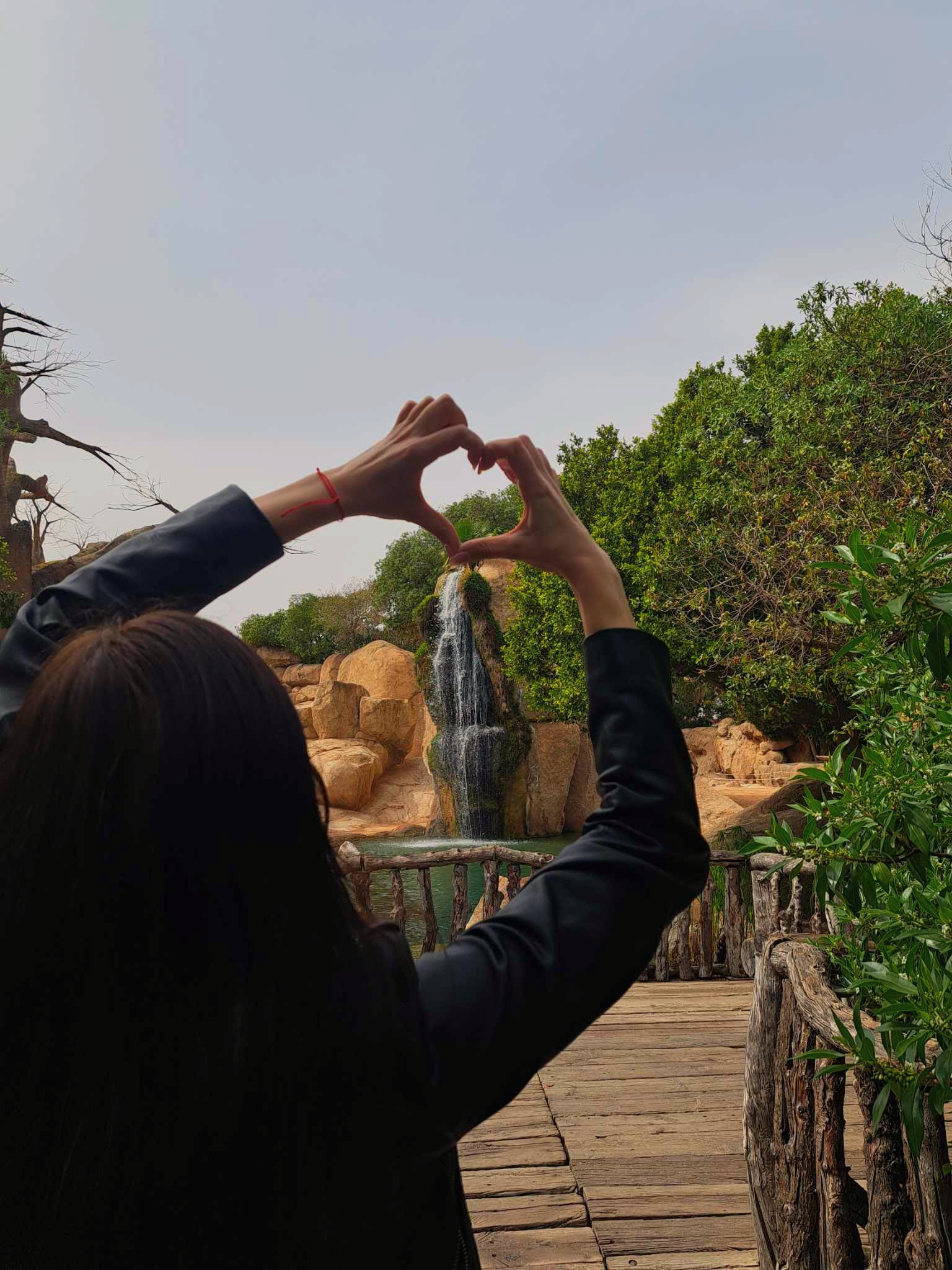 67bb98d4135ff bp cover image