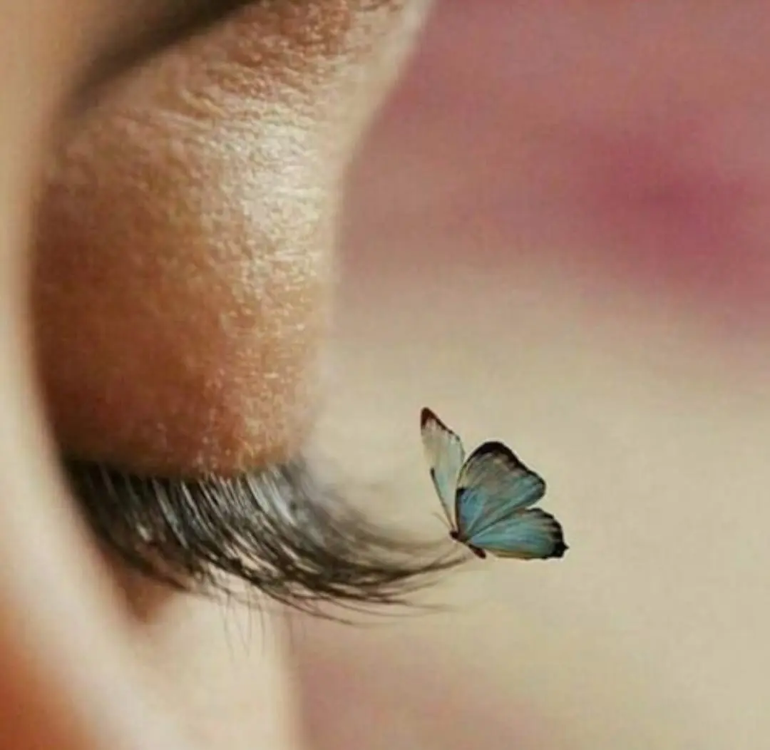 652e2a71a2ae5 bp cover image.jpg