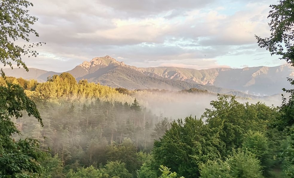 68906bd5e80b4 bp cover image