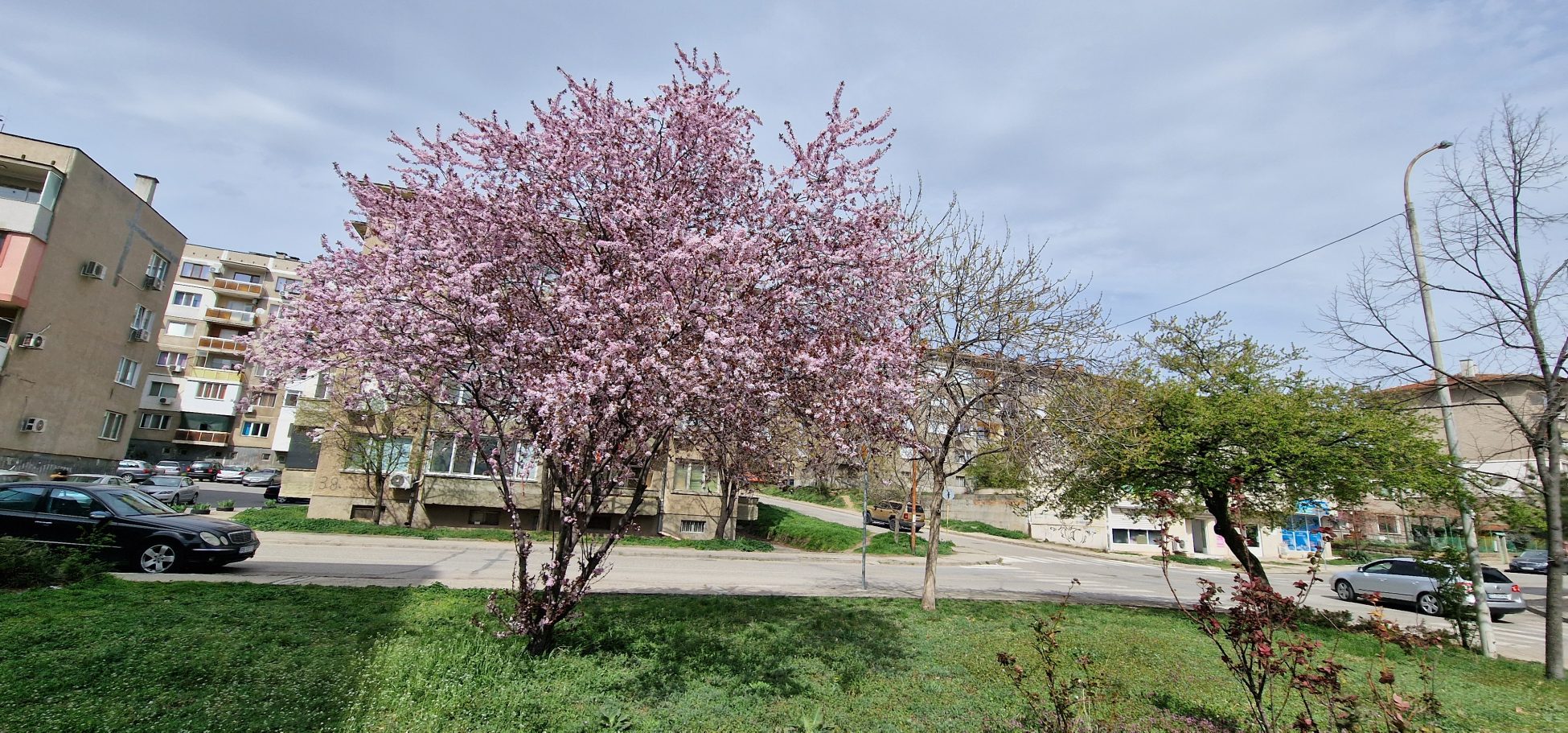 68b16ccc58176 bp cover image