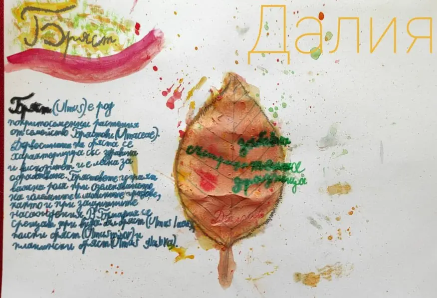 64f6068a07e7f bp cover image.jpg