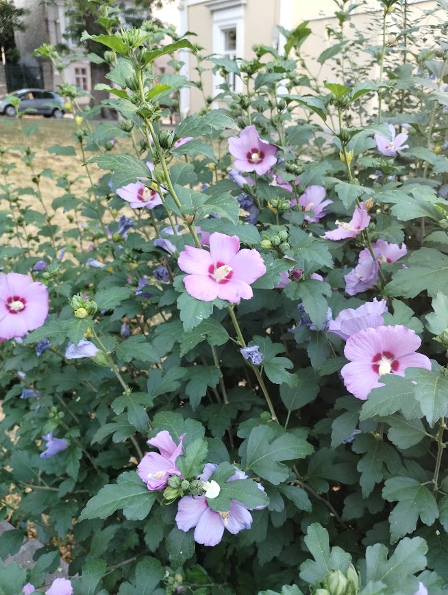 68c1760c1b670 bp cover image