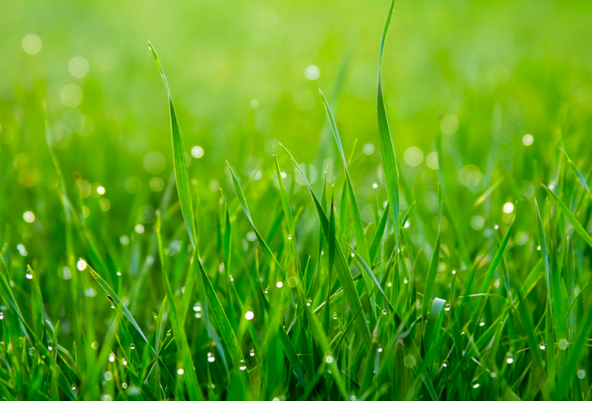 69b5cfeb0f348 bp cover image