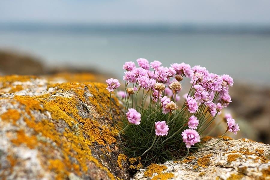 685f5dc2d42de bp cover image