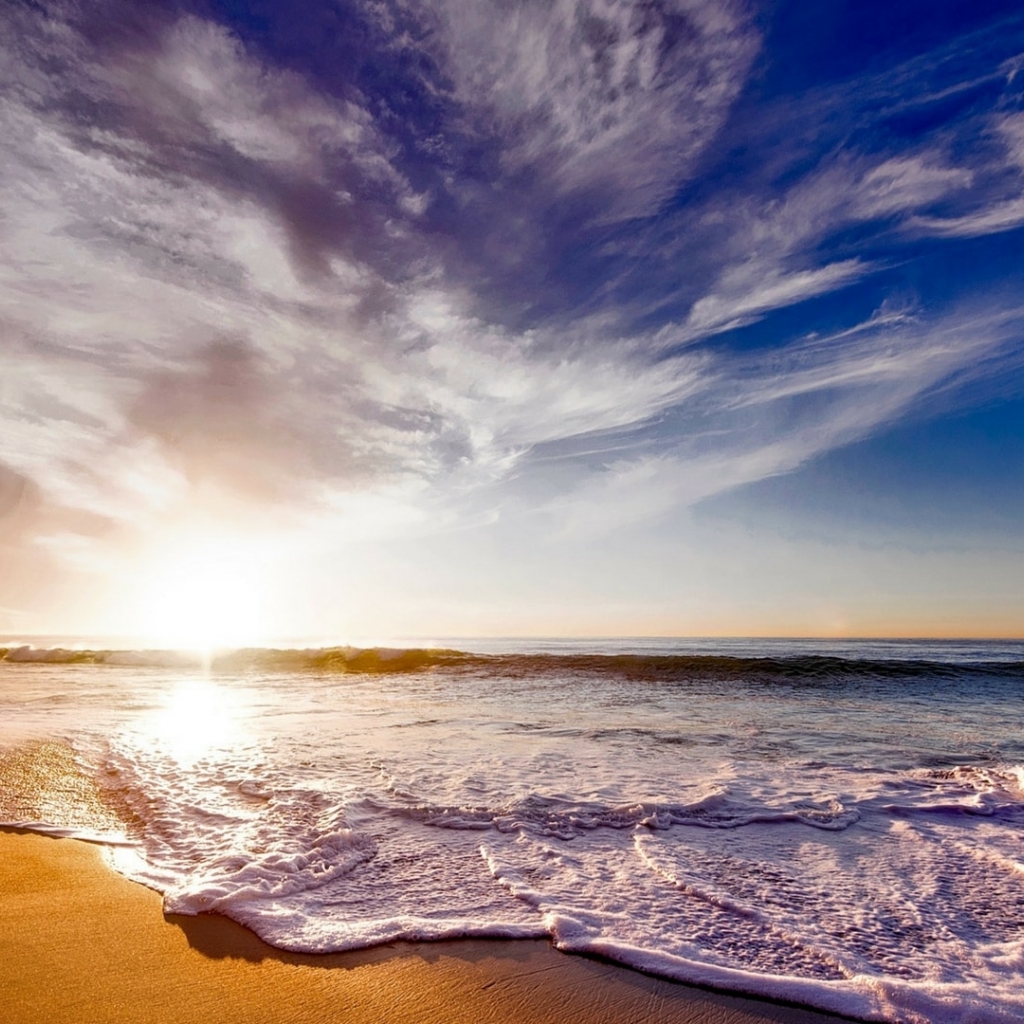 64ef19029f70d bp cover image