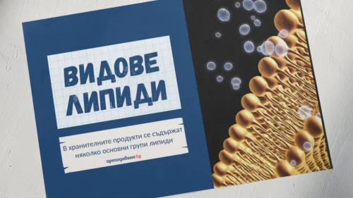 Copy of Prepodavame.bg-Worksheet Mockup-horizontal (2)