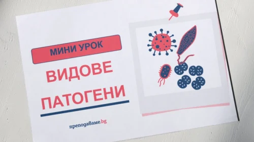 Prepodavame.bg_9kl_BIO_PBO_V-bitka-s-gripa_RL Prezentaciya