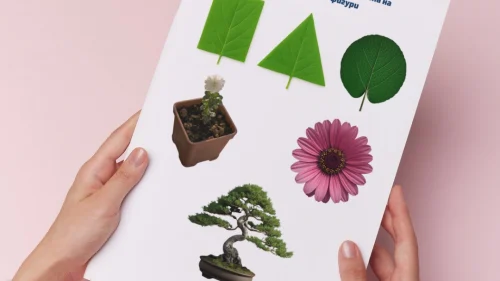 Prepodavame.bg_2kl_MAT_PBO-Izsledovateli-na-prirodata-prikluchenie-s-chisla-i-izmervaniya_RL-Rasteniya-geometrichni-figuri