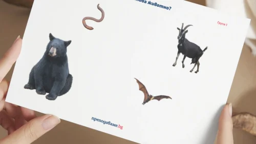 Prepodavame.bg_3kl_CHP_PBO-Raznoobrazieto-v-prirodata_RL-Koe-e-tova-jivotno