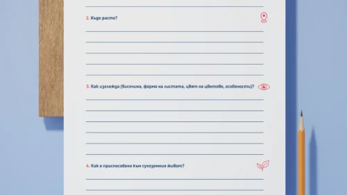 Prepodavame.bg_3kl_CHP_PBO-Raznoobrazieto-v-prirodata_RL-Vizitka-na-rastenie-koeto-viree-na-sushata