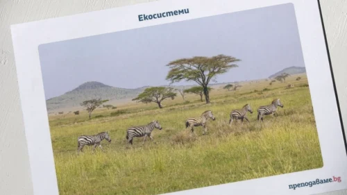 Prepodavame.bg_3kl_ChP_PBO - Ekosistemi