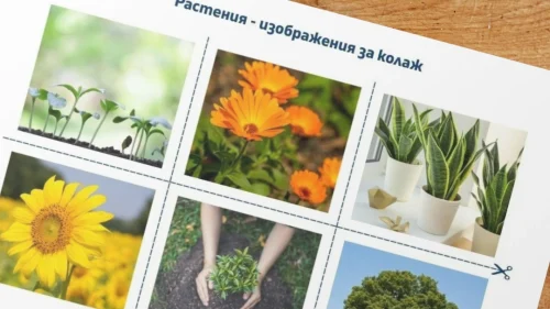 Prepodavame.bg_3kl_ChP_PBO - Izobrajeniq kolaj