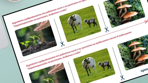 Prepodavame.bg_3kl_ChP_PBO - Izobrajeniq organizmi