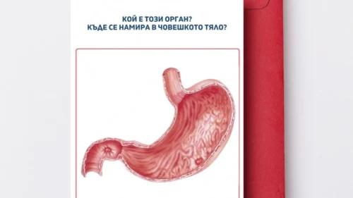 Prepodavame.bg_3kl_ChP_PBO - Kartinki organi