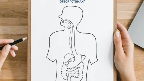 Prepodavame.bg_3kl_ChP_PBO - Otbor Stomah