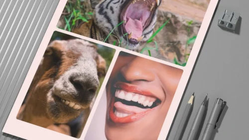 Prepodavame.bg_3kl_ChP_PBO - Realistichni zabi_RL