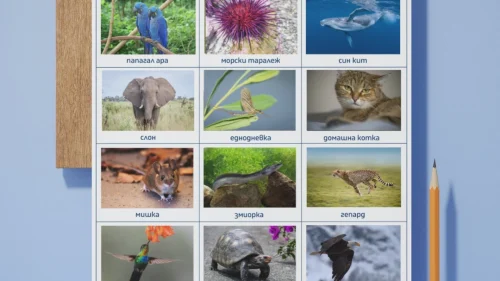 Prepodavame.bg_3kl_MAT_PBO Rekordi-na-zhivotnite_RL Sortirai-zhivotnite-po-dulgoletie