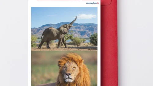 Prepodavame.bg_4kl_CHP_PBO Domovete na jivotnite_RL - Snimki jivotni urok 1